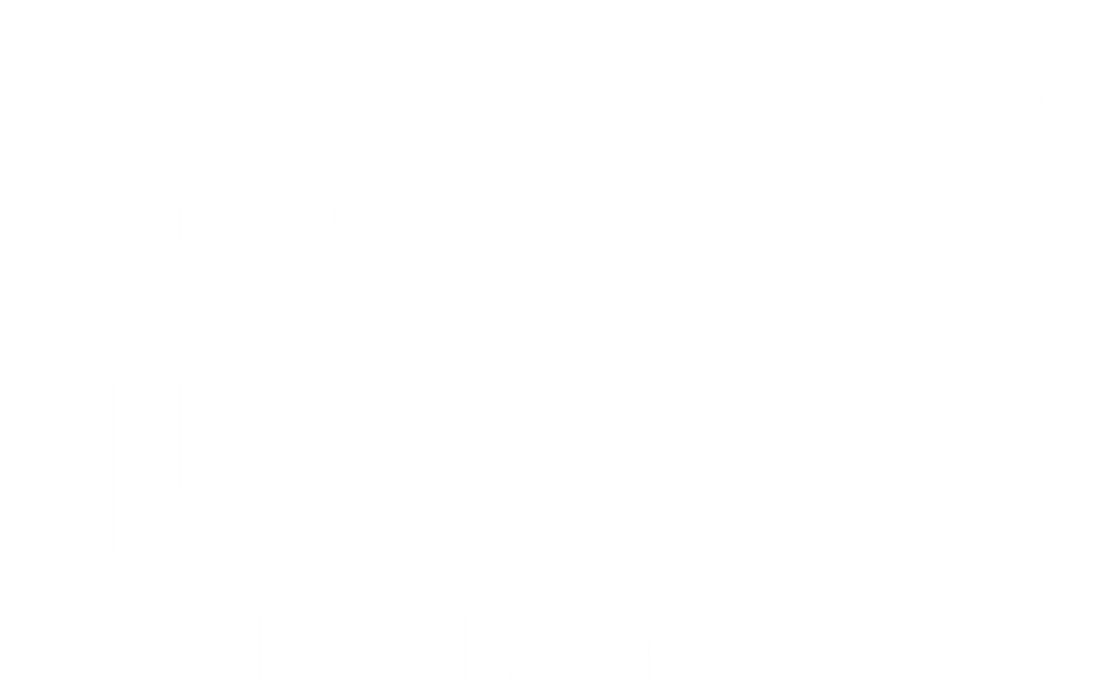 FFA Consultants – Future Flight Abroad Consultants